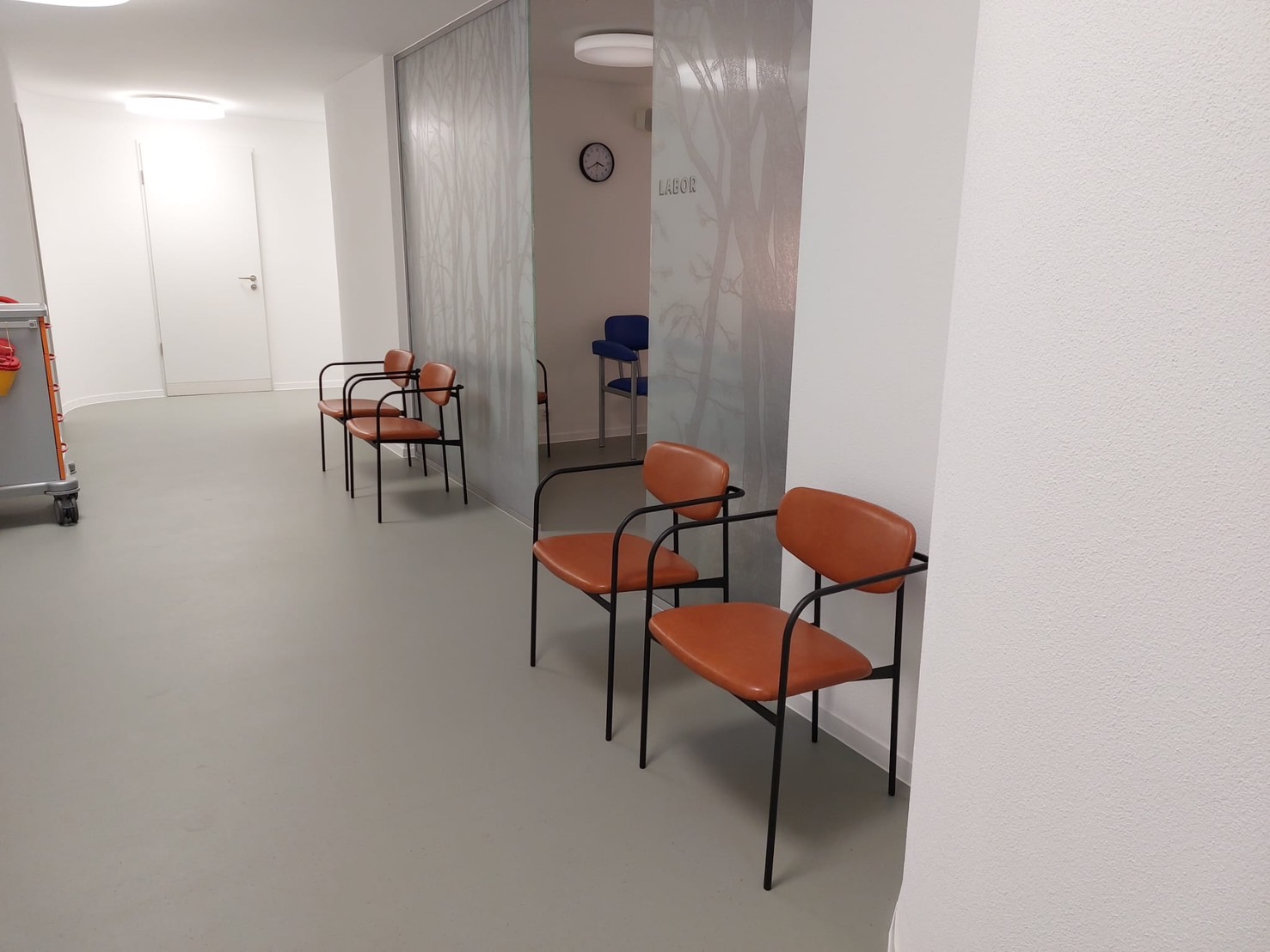 2025 スイス「クリニック」